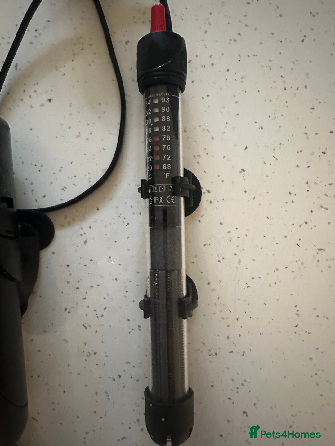 Angelfish fish for sale: Fish tank starter kit - Advert 12