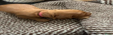 Miss Pink