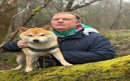 Japanese Shiba Inu dogs for stud: 18 months old Japanese Shiba Inu Stud Available - Image 8