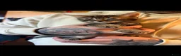 Mixed Breed cats for sale: Gorgeous kittens - Advert 17