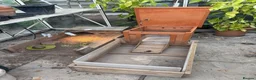 Tortoise reptiles for sale: Hermanns Tortoise - Male - 10 years old in Nottingham - Advert 3