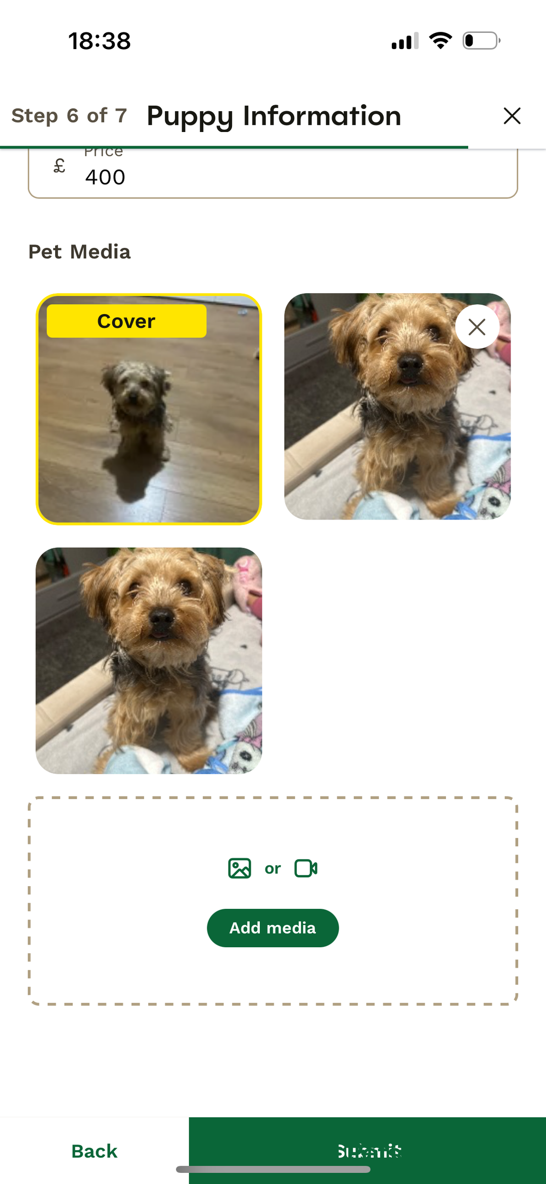 Yorkshire Terrier dogs for sale: Beautiful Yorkshire Terrier Puppy for Sale - Image 2