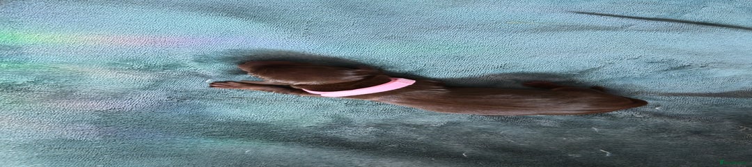 Pink collar girl