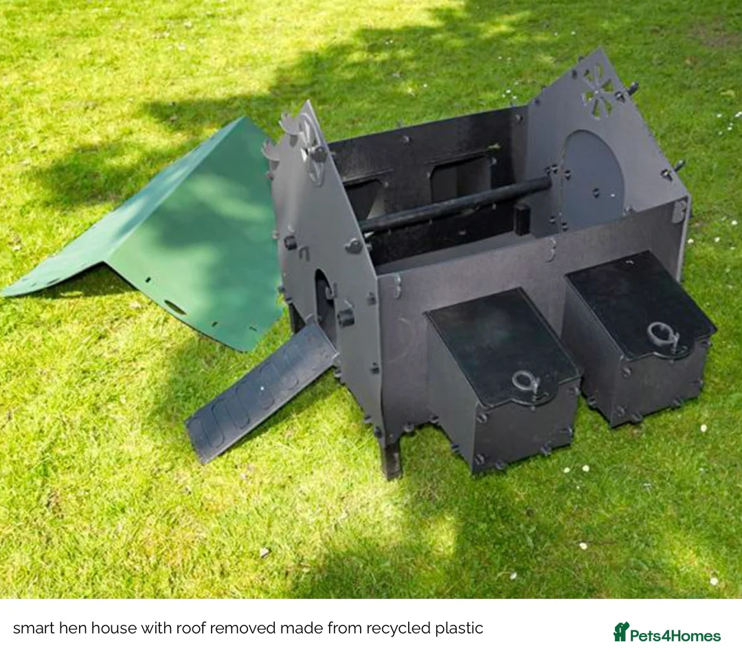 Mixed Breed poultry for sale: Smart Hen House - Recycled - 10/12 Hens - Advert 2