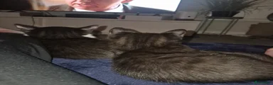 No name yet 