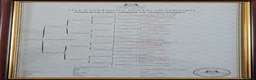 Cocker Spaniel dogs for sale: Beautiful black working cocker spaniels  - Advert 11