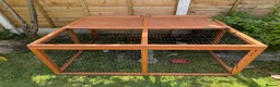 Quail poultry for sale: Quails family laying eggs  - Advert 4