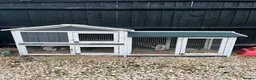 Mixed Breed rabbits for sale: Rabbit - Advert 3