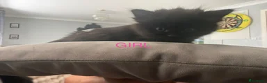 Black girl 2