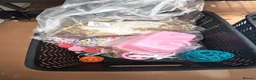 Budgerigars birds for sale: Female & Male Budgies with cage and accessories  - Advert 6