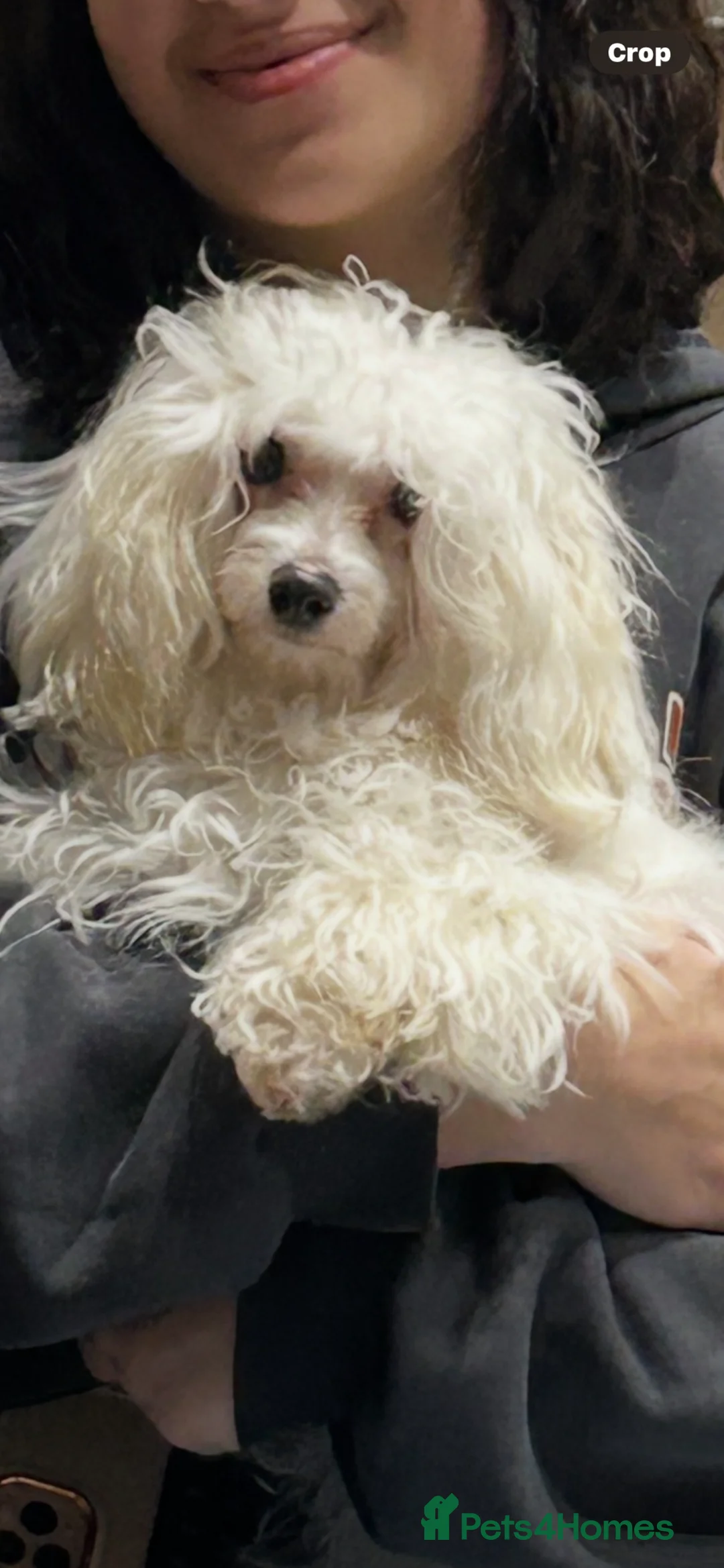 Gallery Image {{count}}