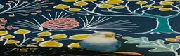 Lovebirds birds for sale: 2 bonded love birds and cage  - Advert 7