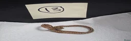 Corn Snake reptiles for sale: Various baby corn snakes unsexed x13 Bolton - Advert 13