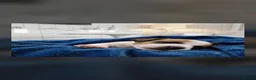 Jack Russell dogs for sale: Jack Russel puppies  - Advert 7