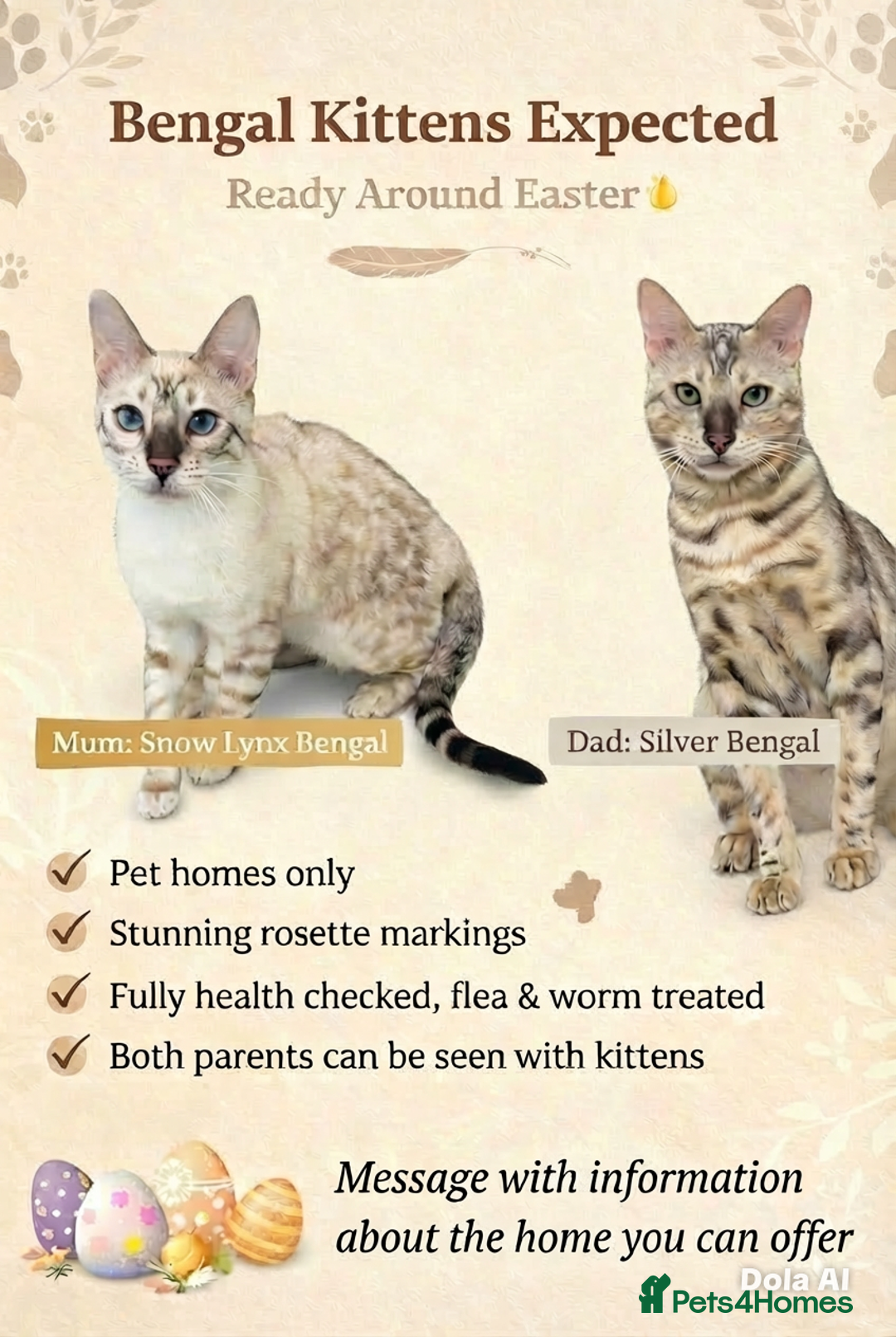 Bengal cats for sale: Expected Litter Bengal Kittens  - Advert 1