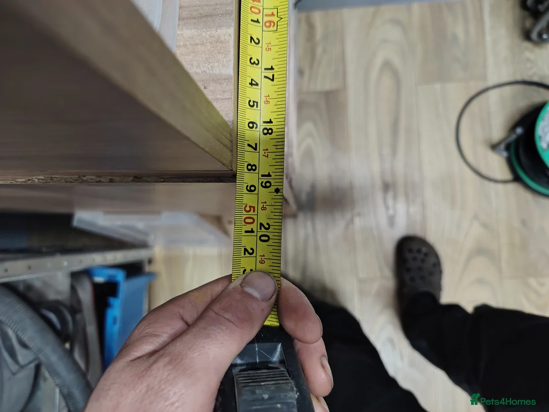 Mixed Breed reptiles for sale: Snake rack, 33l tub with thermostat  - Advert 4