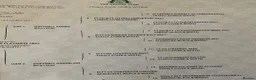 English Springer Spaniel dogs for sale: Kennel club registered Springer Spaniel Puppies - Advert 30