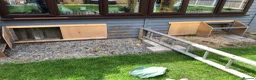 Tortoise reptiles for sale: Two sulcata tortoises - Advert 8