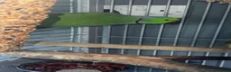 Ringnecks birds for sale: Indian ring neck male parrot  in Stoke-on-Trent - Advert 4