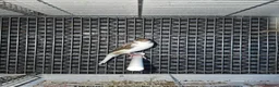 Canaries birds for sale: Cnarries  for sale  - Advert 3
