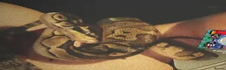 Python Snake reptiles for sale: Male ball python for sale in Kirkcaldy - Advert 2