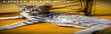 Savannah 1 - light blue boy