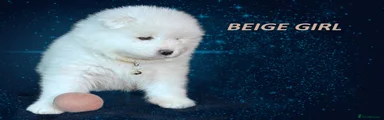 Beige Girl