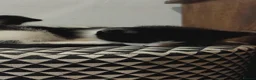 Mixed Breed cats for sale: Black and white kitten, a girl in Derby - Advert 3