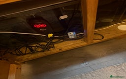 Discus fish for sale: 5 foot solid oak Fish Tank with Sump - Advert 10