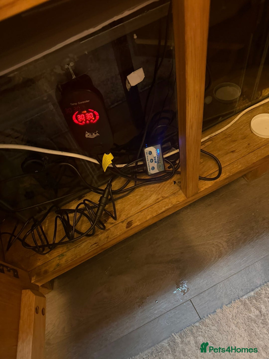 Discus fish for sale: 5 foot solid oak Fish Tank with Sump - Advert 10