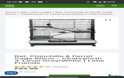 Rat rodents for sale: 4 Female Rats & Set-Up - Image 10