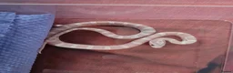 Corn Snake reptiles for sale: Baby snow cornsnake  - Advert 2