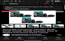 Corn Snake reptiles for sale: Male Corn Snake 2 Years - Image 17