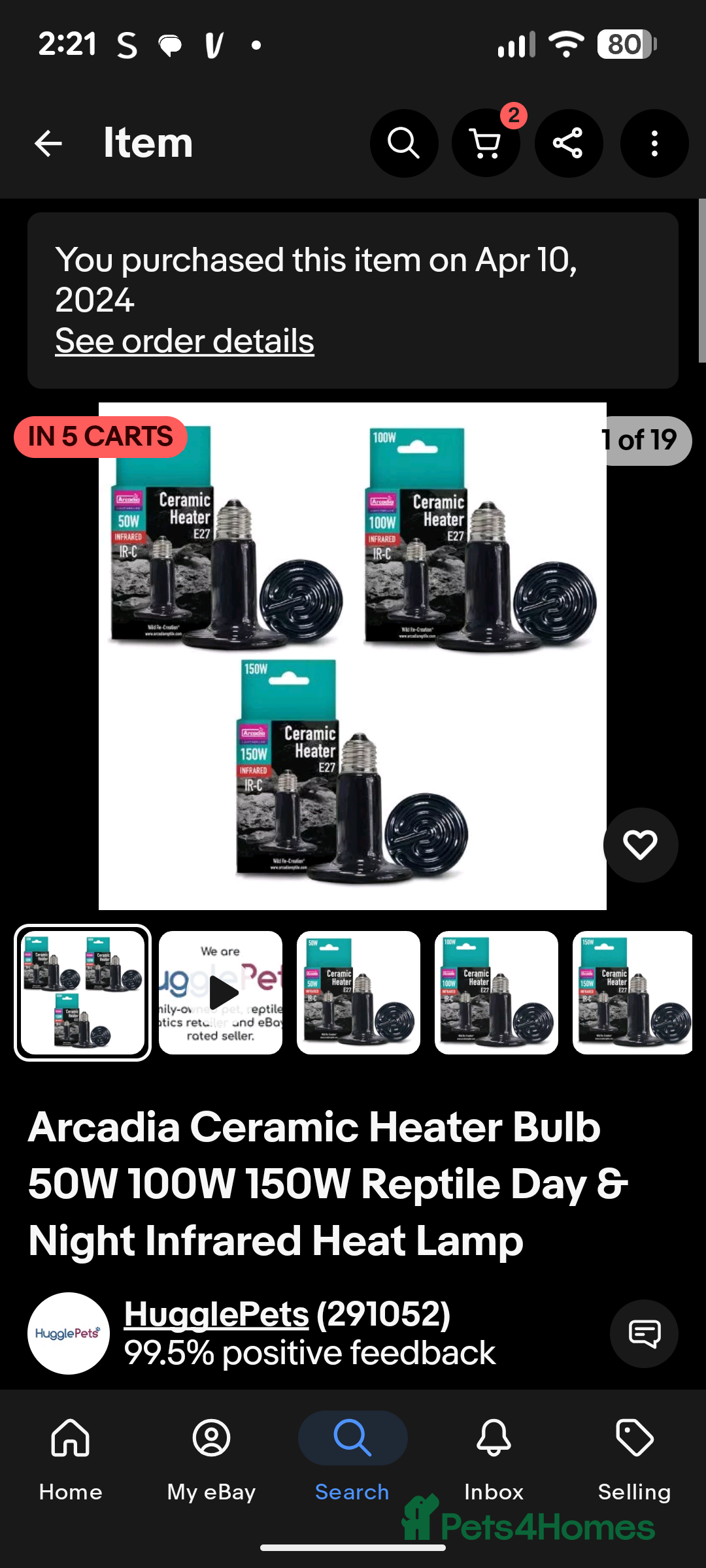 Corn Snake reptiles for sale: Male Corn Snake 2 Years - Image 17