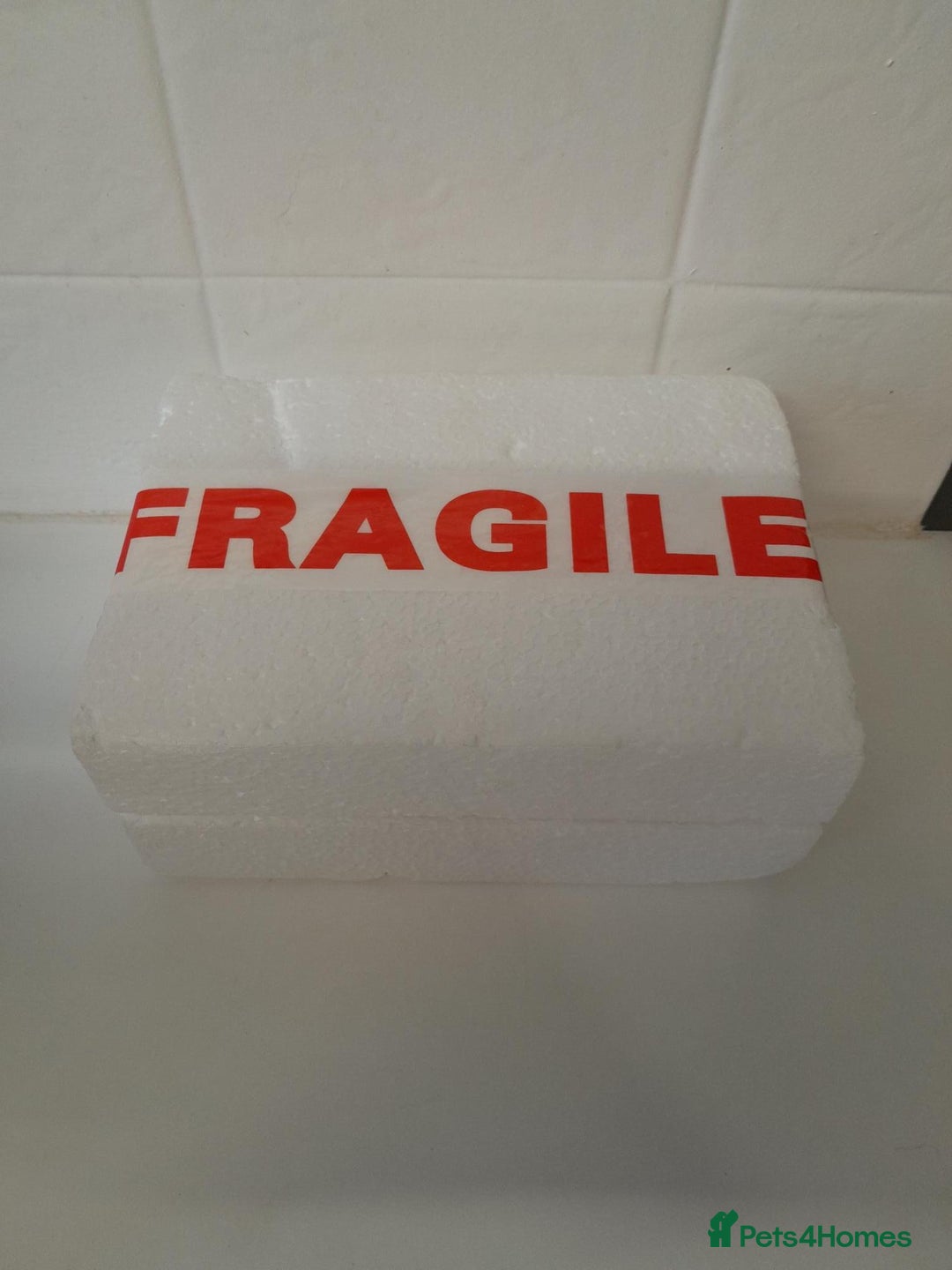 Chickens poultry for sale: Bantam Silkie H@tching Eggs Collection/Posted - Advert 2