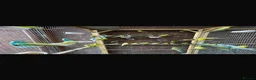 Ringnecks birds for sale: Stunning Budgies - Advert 2