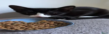 Binx