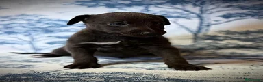 Bedlington whippet  5