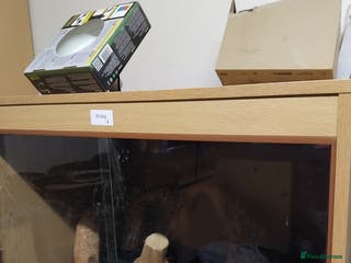 Mixed Breed reptiles Viv and lights - Advert 8