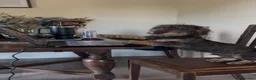 Dachshund dogs for sale: Wirehaired dachshund puppy - Advert 3