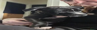 Female Black and white 