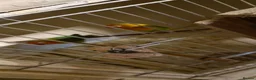 Budgerigars birds for sale: 3 Budgies & Lovebird Pair for Sale – 1 Year Old  - Advert 3