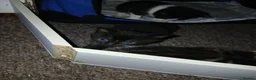 Mixed Breed cats for sale: 3 beautiful kittens  - Advert 1