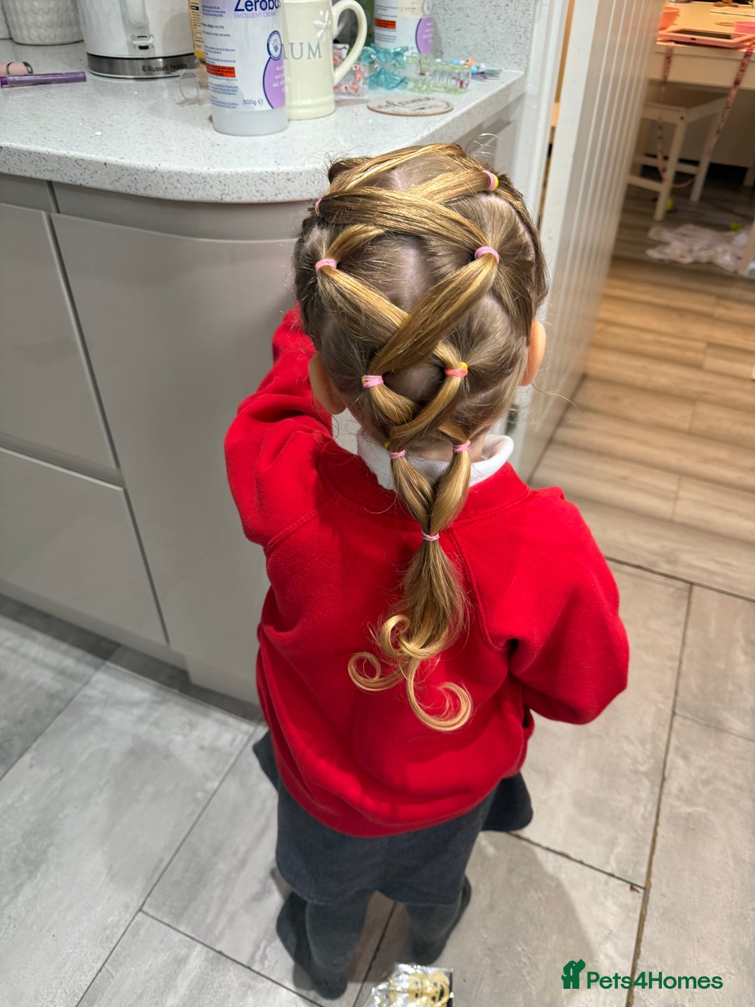 Mixed Breed cats for sale: 3 kittens for sale - Advert 12