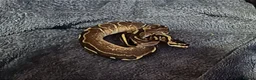 Python Snake reptiles for sale: Baby ball python 🐍 - Advert 3