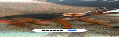 Mixed Breed 3