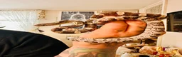 Corn Snake reptiles for sale: Female corn snake - Advert 6