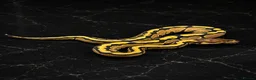 Python Snake reptiles for sale: Stunning Baby Ball Pythons!  - Advert 8