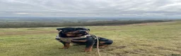 Rottweiler dogs for stud: 3 year old male for stud in exchange for a puppy  in Worcester - Advert 9