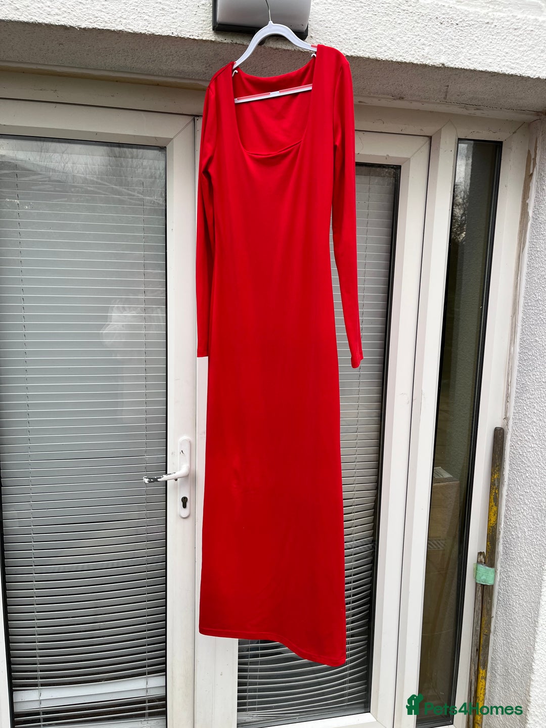 Bearded Dragon reptiles for sale: Bearded dragon  - Advert 2